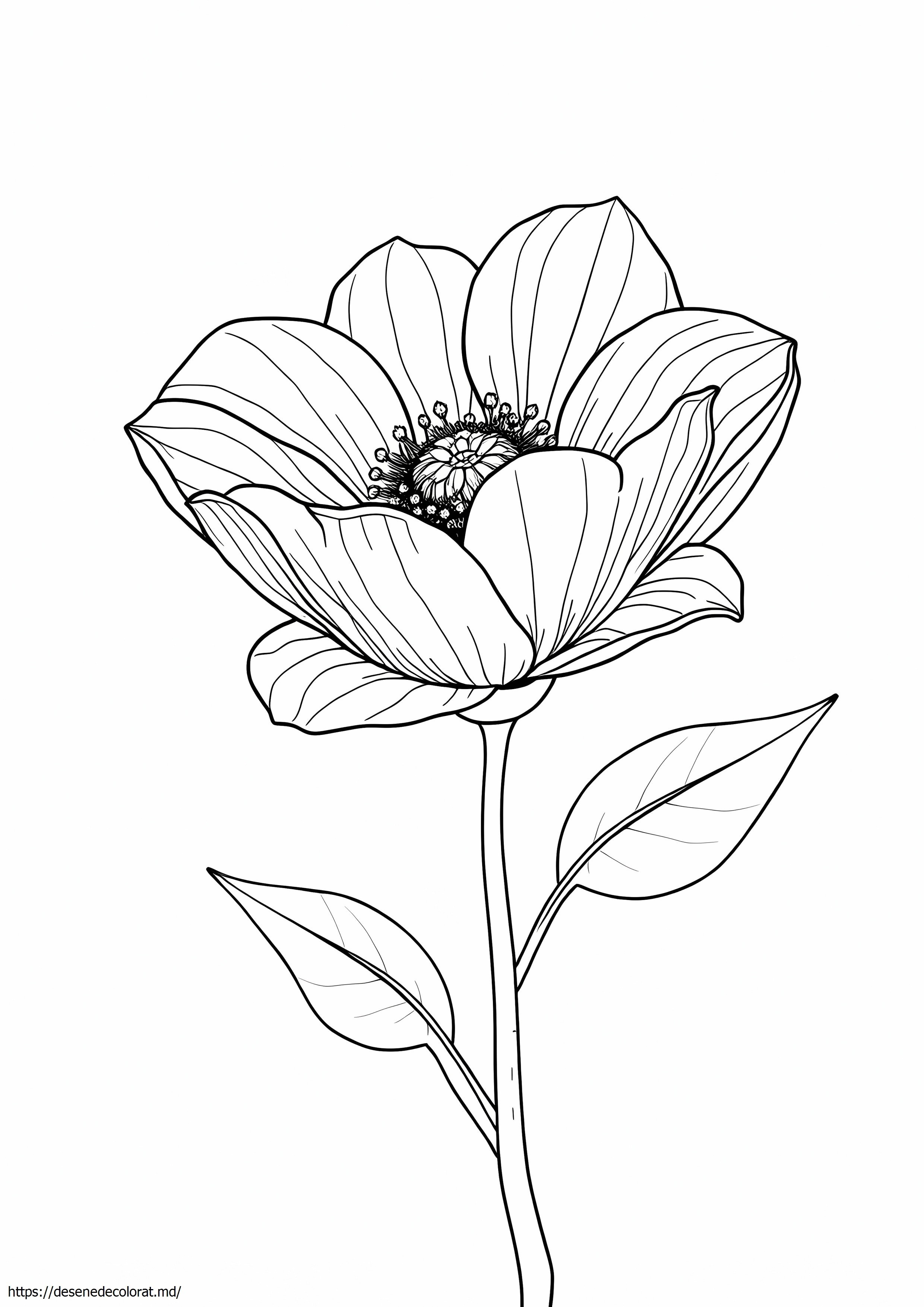 Floare realistă