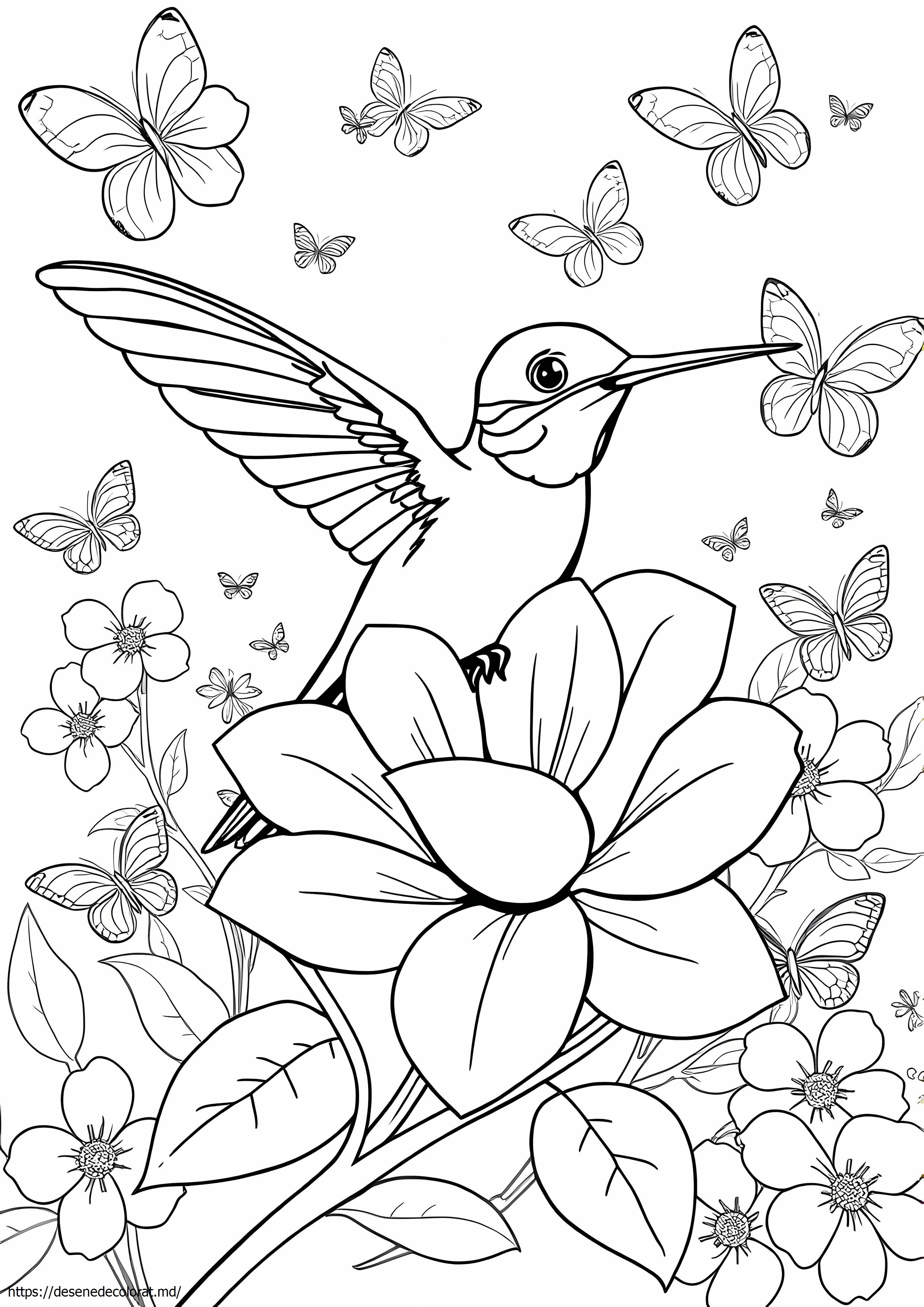 Pasăre colibri realistă