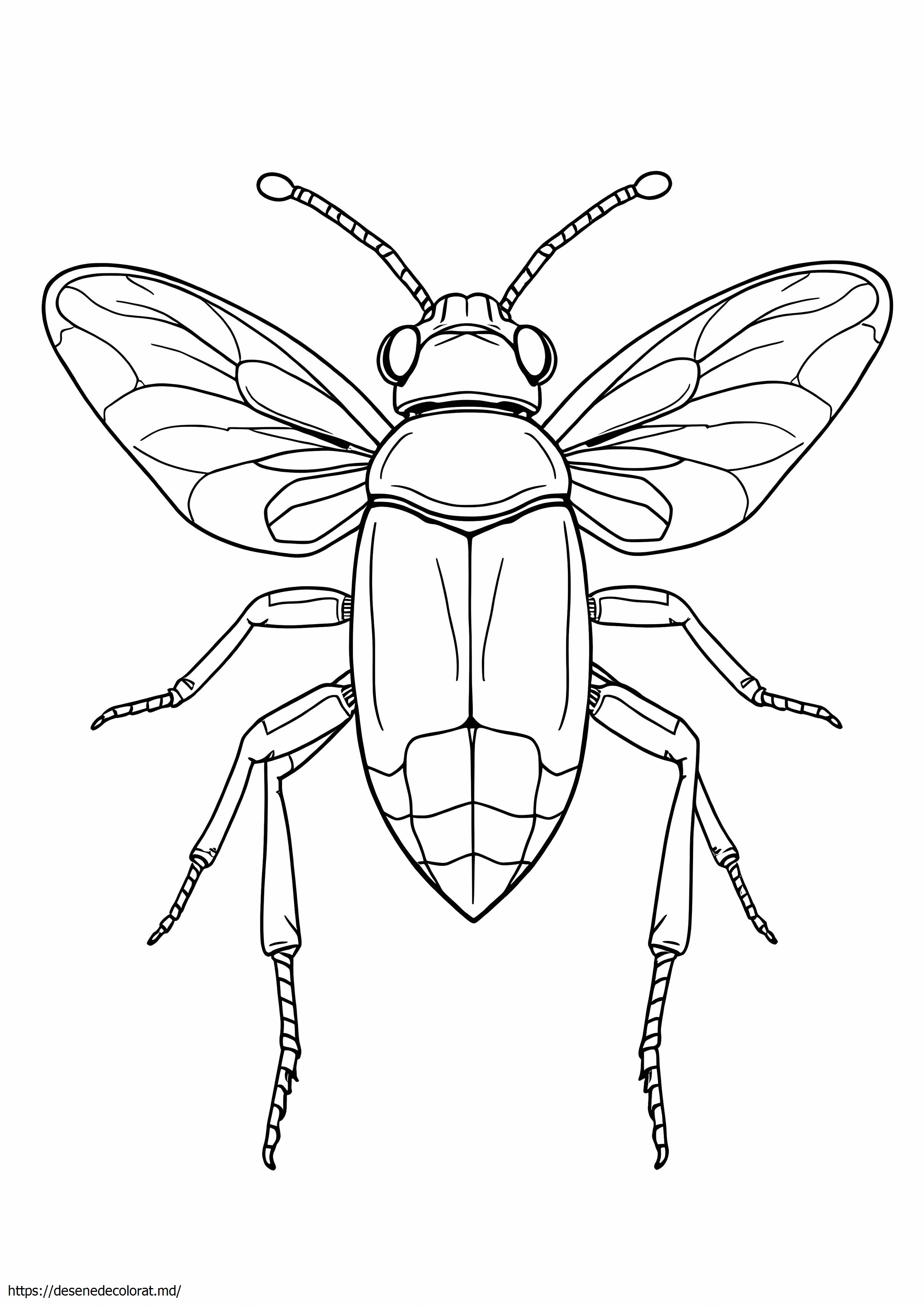 Insectă realistă