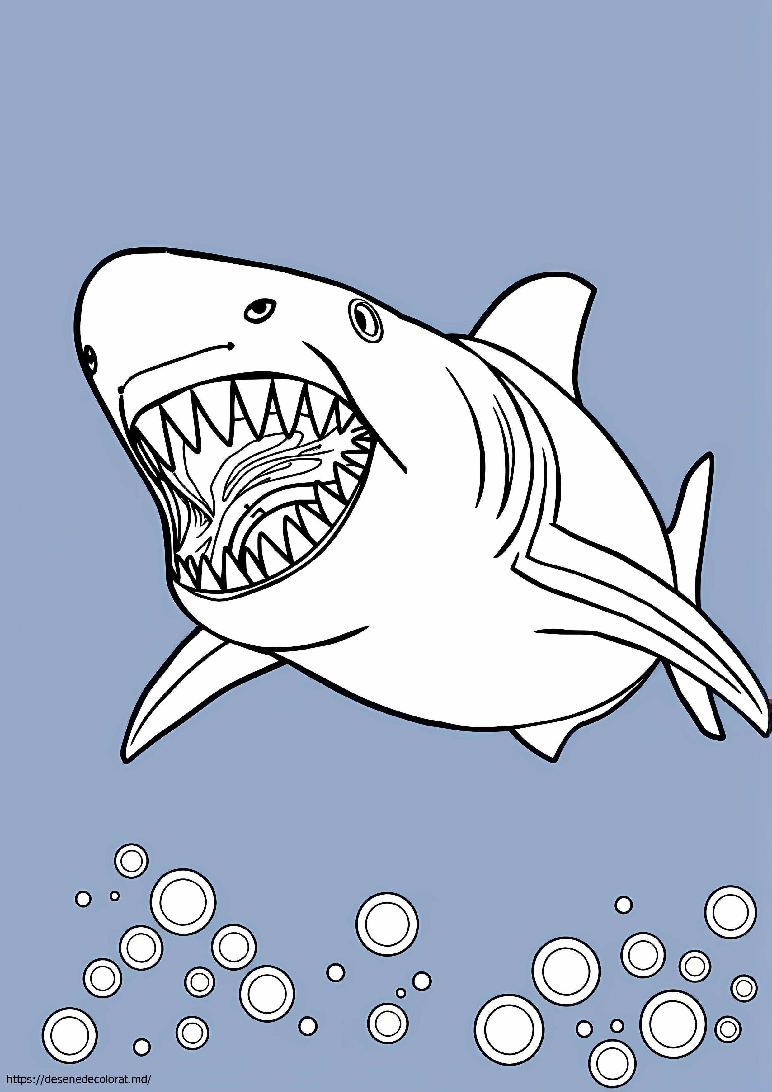 Rechin megalodon realist