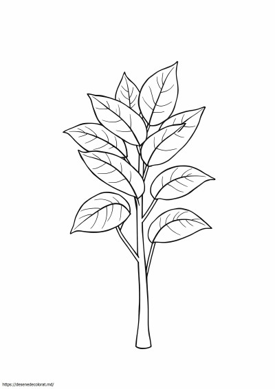 Plantă realistă