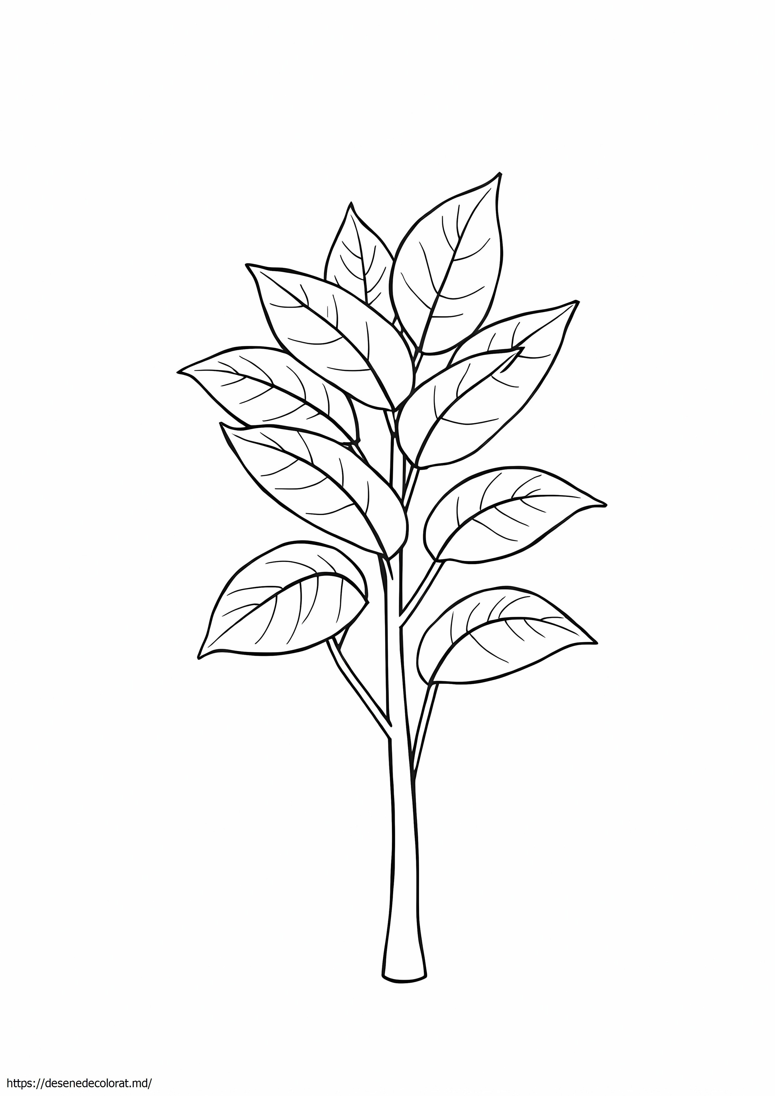 Plantă realistă