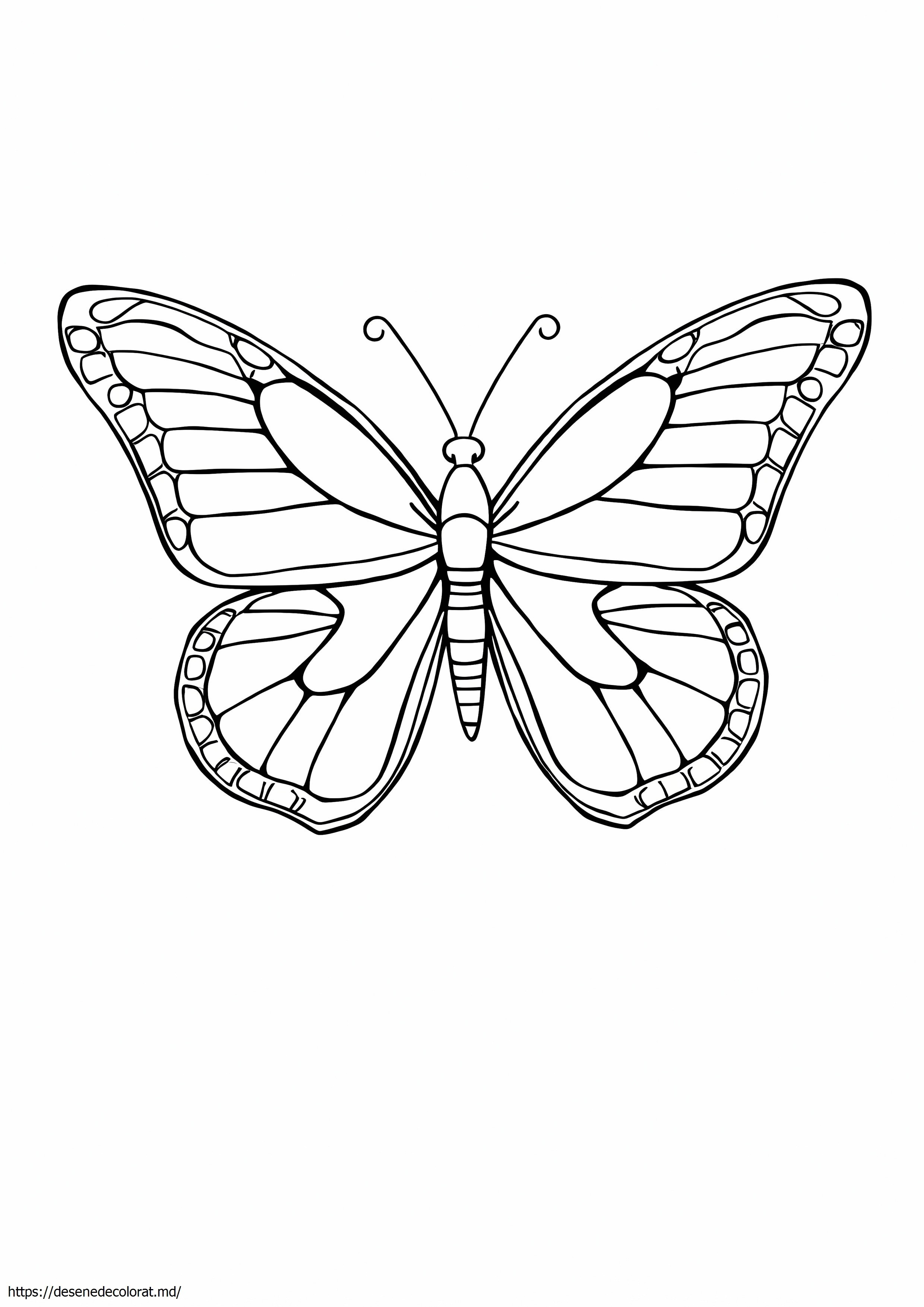 Fluture monarh realist