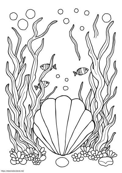 Plante marine