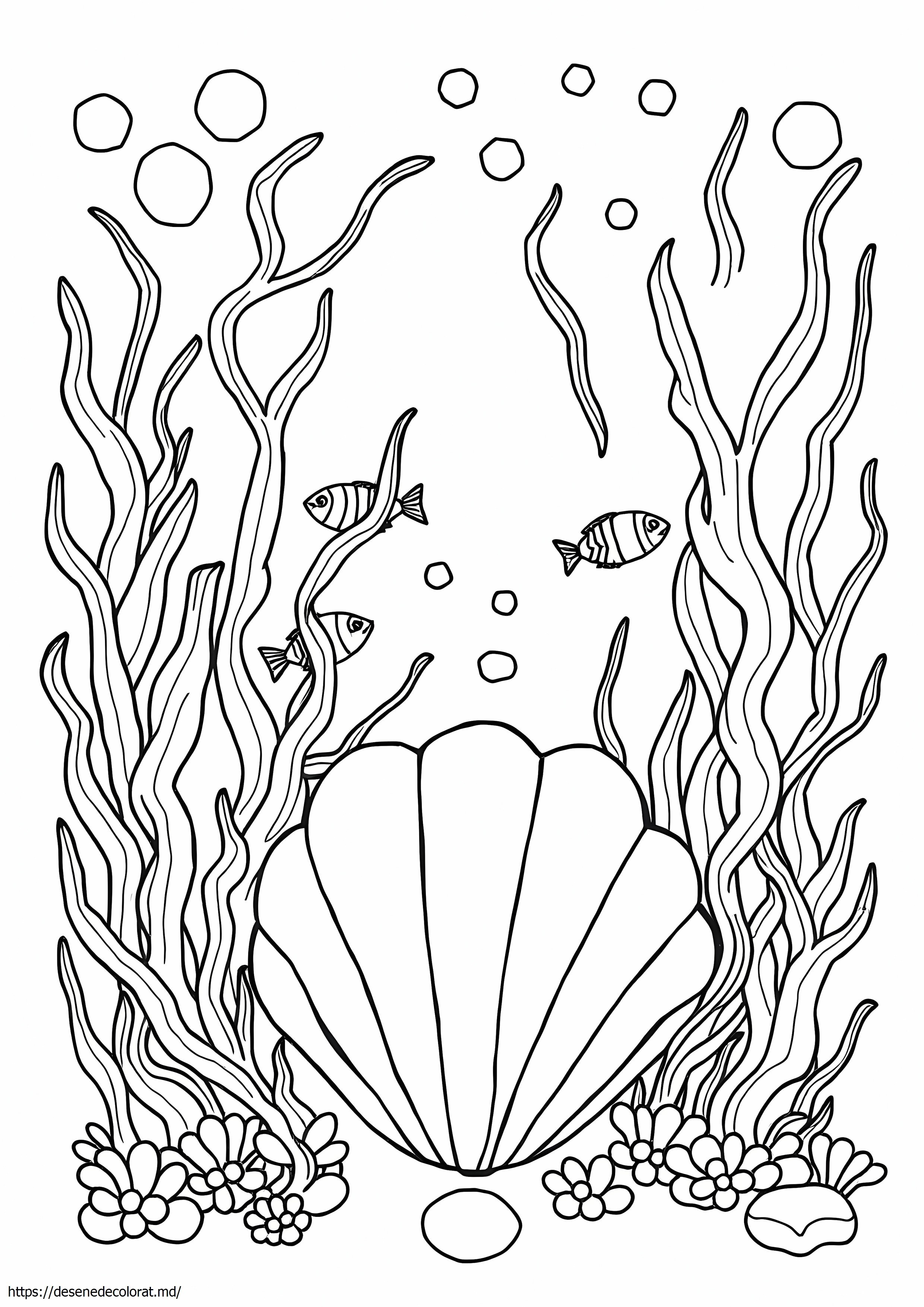 Plante marine