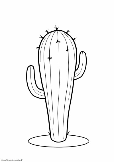 Cactus simplu
