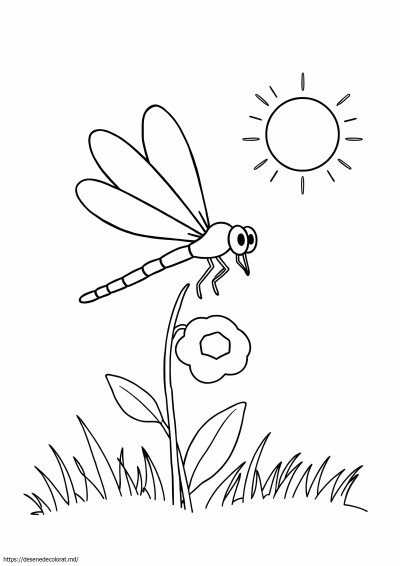 Libelula simpla
