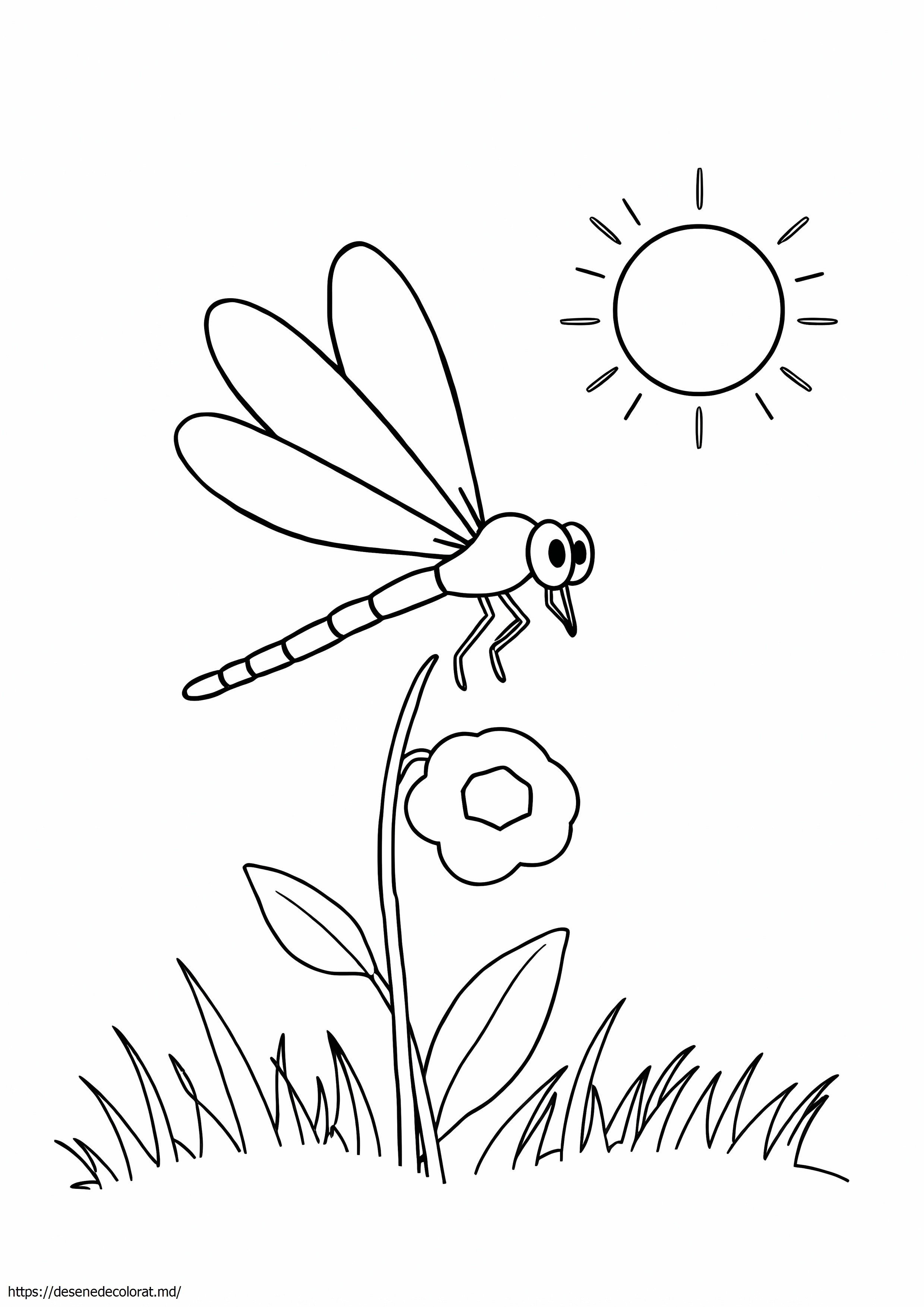 Libelula simpla