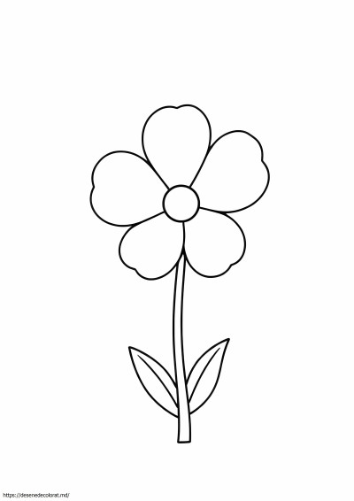 Floare mică simplă