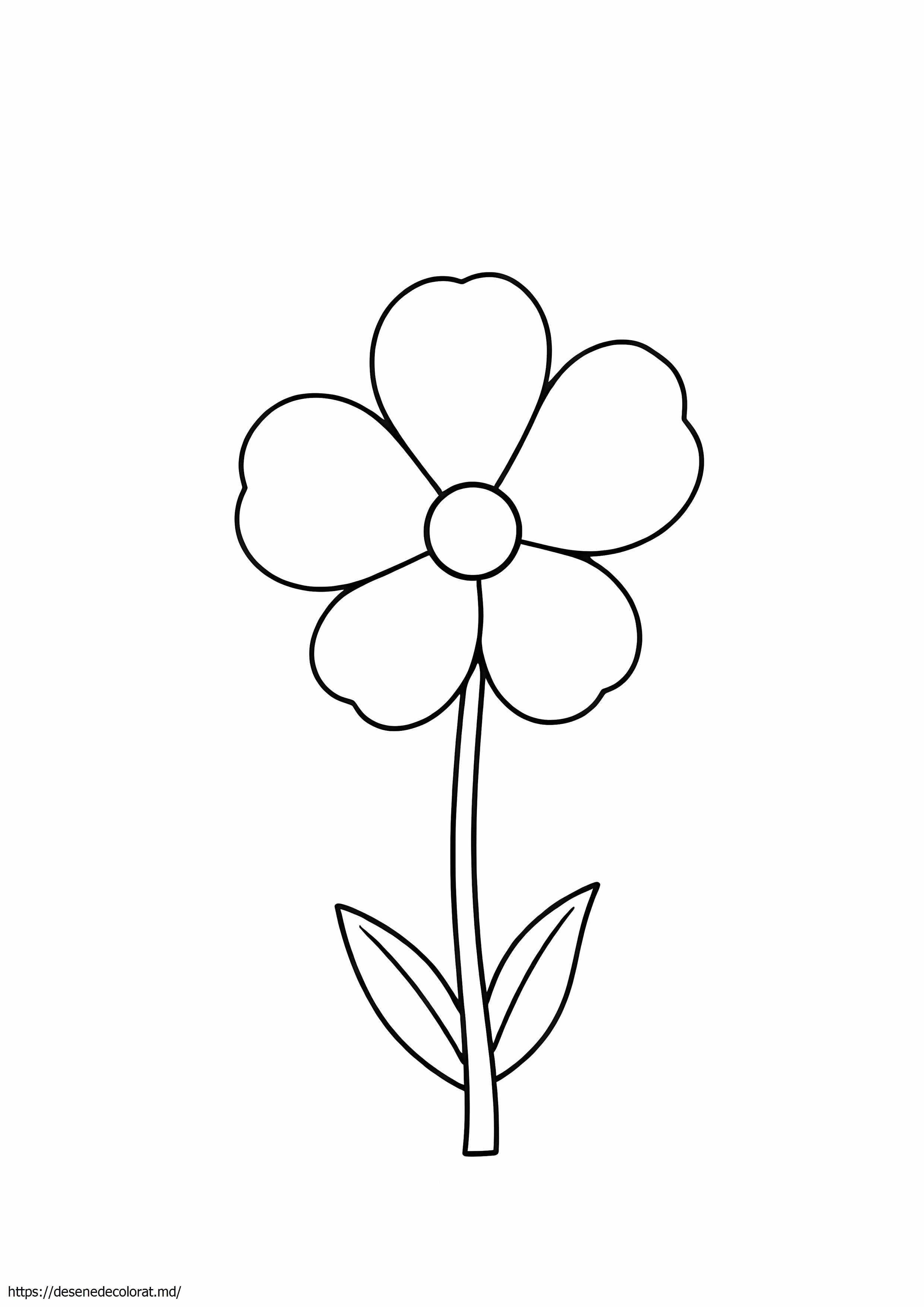 Floare mică simplă