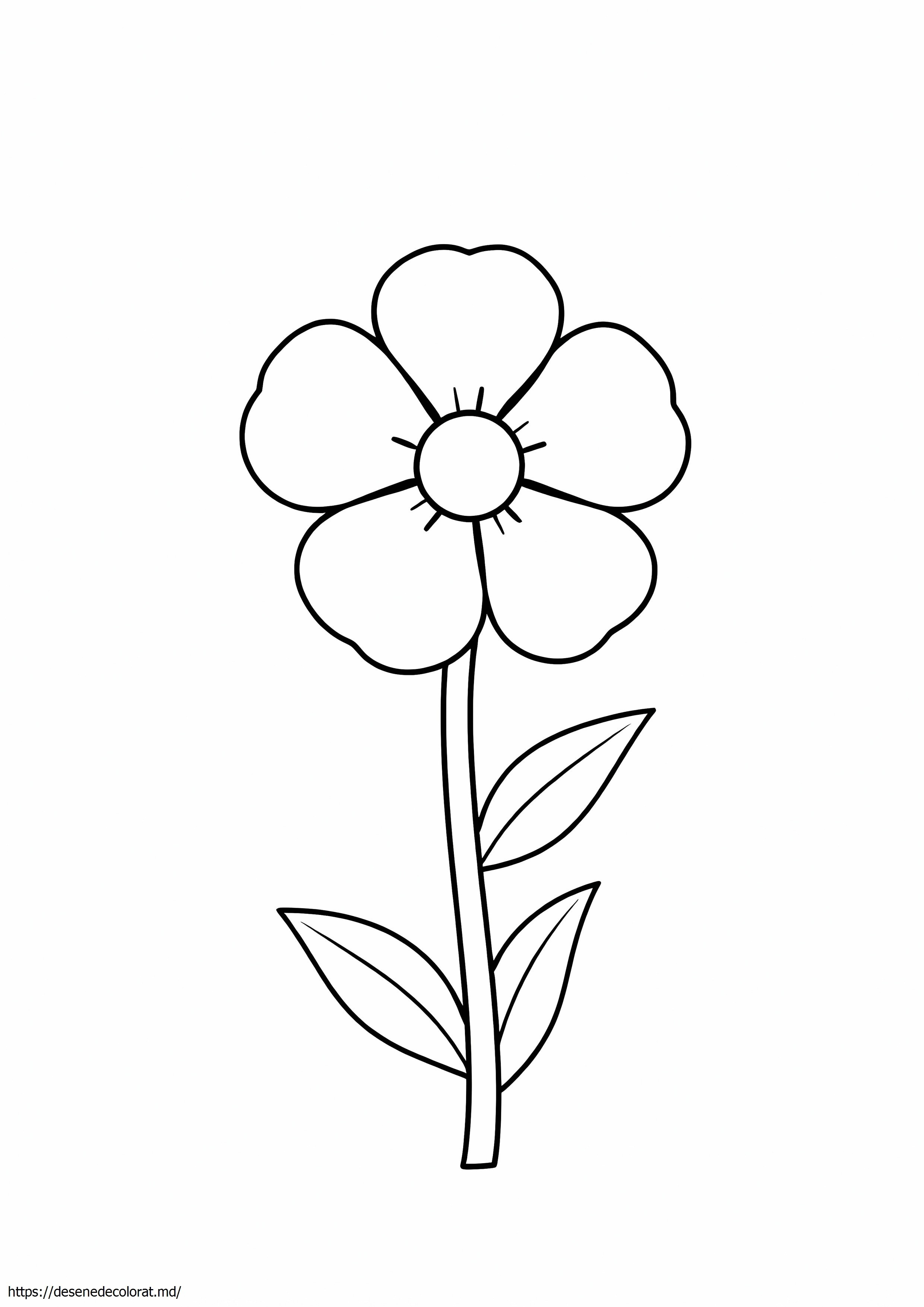 Floare sălbatică simplă
