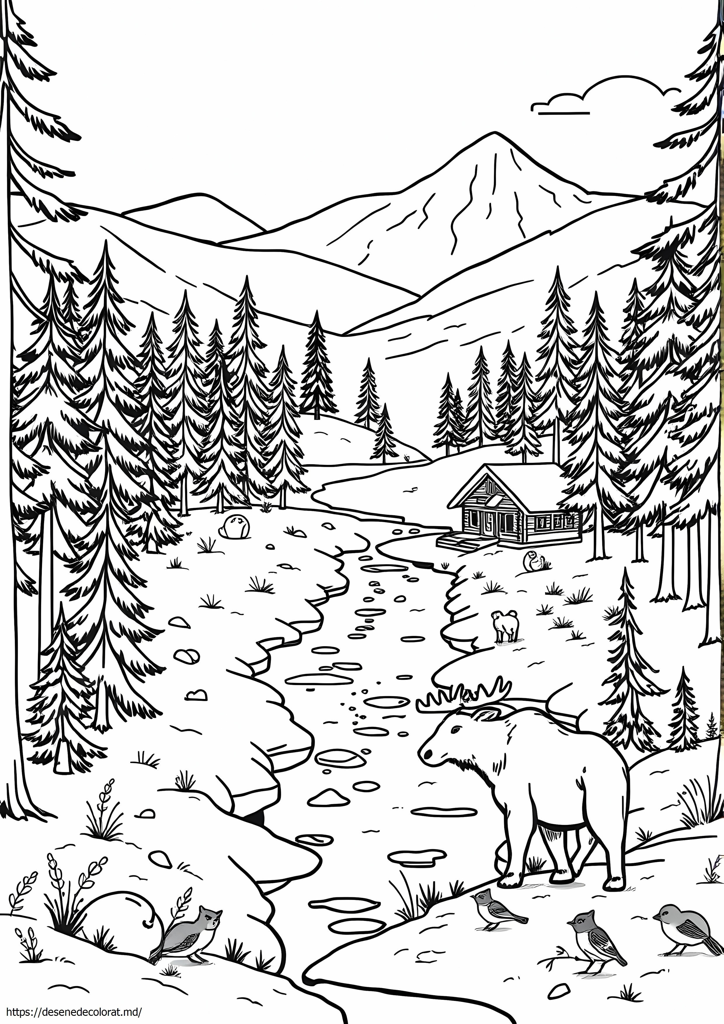 Taiga