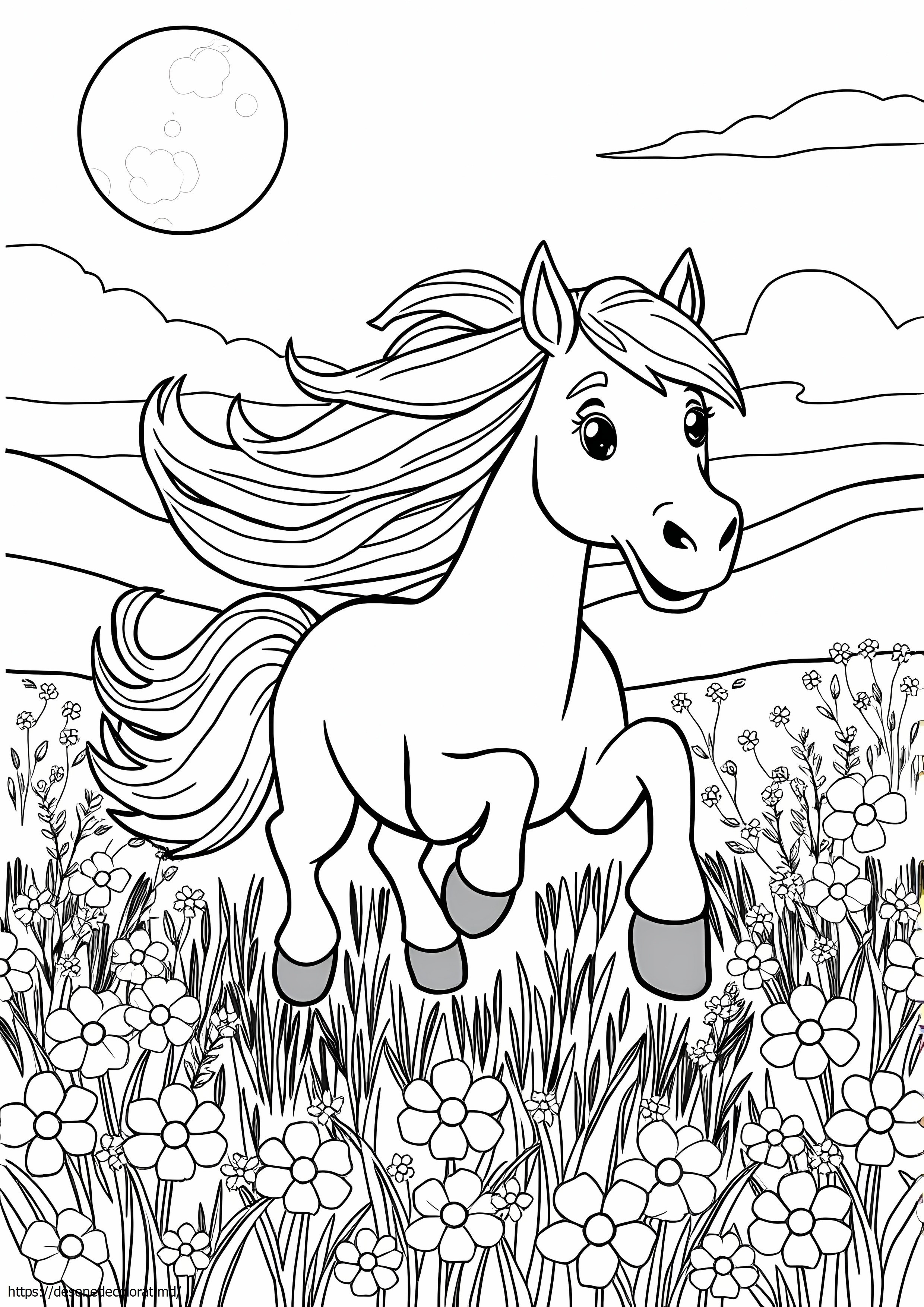 Spiritul cimarron