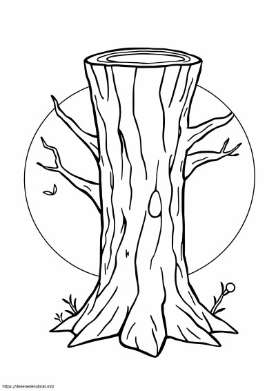 Trunchi de copac