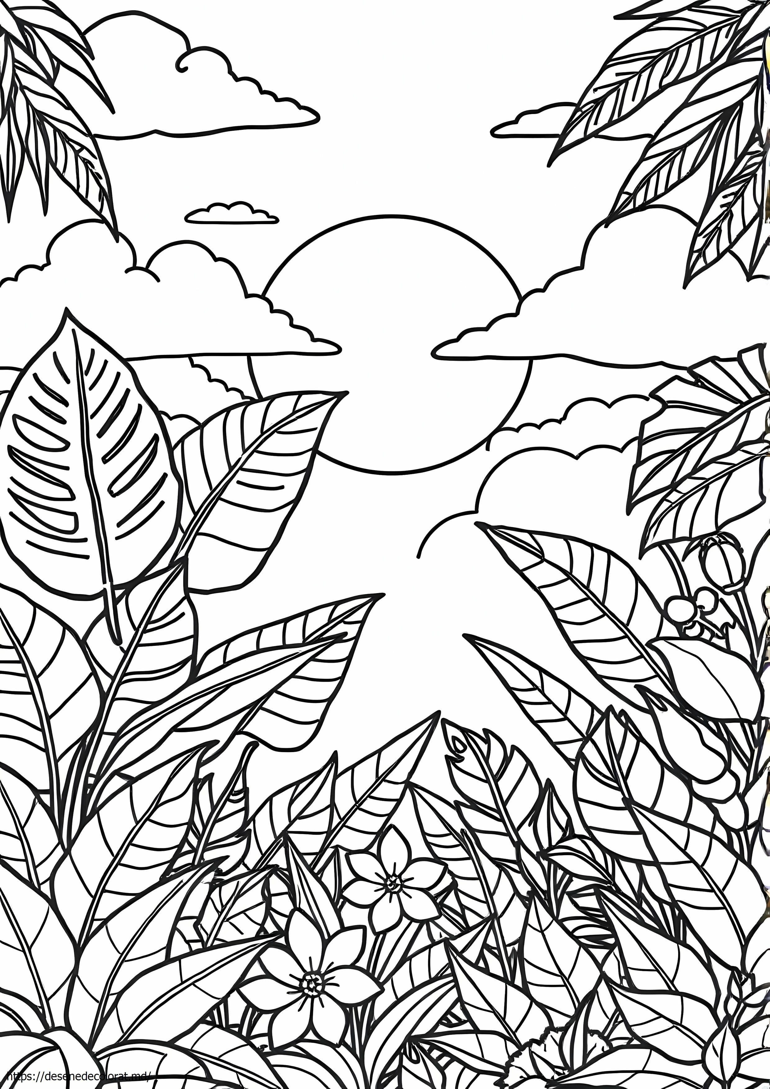 Plante tropicale