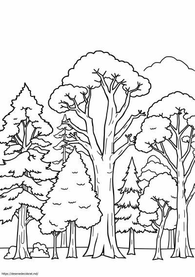 Tipuri de arbori