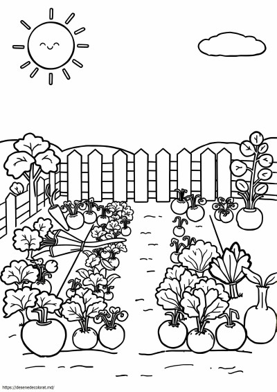 Gradina de legume