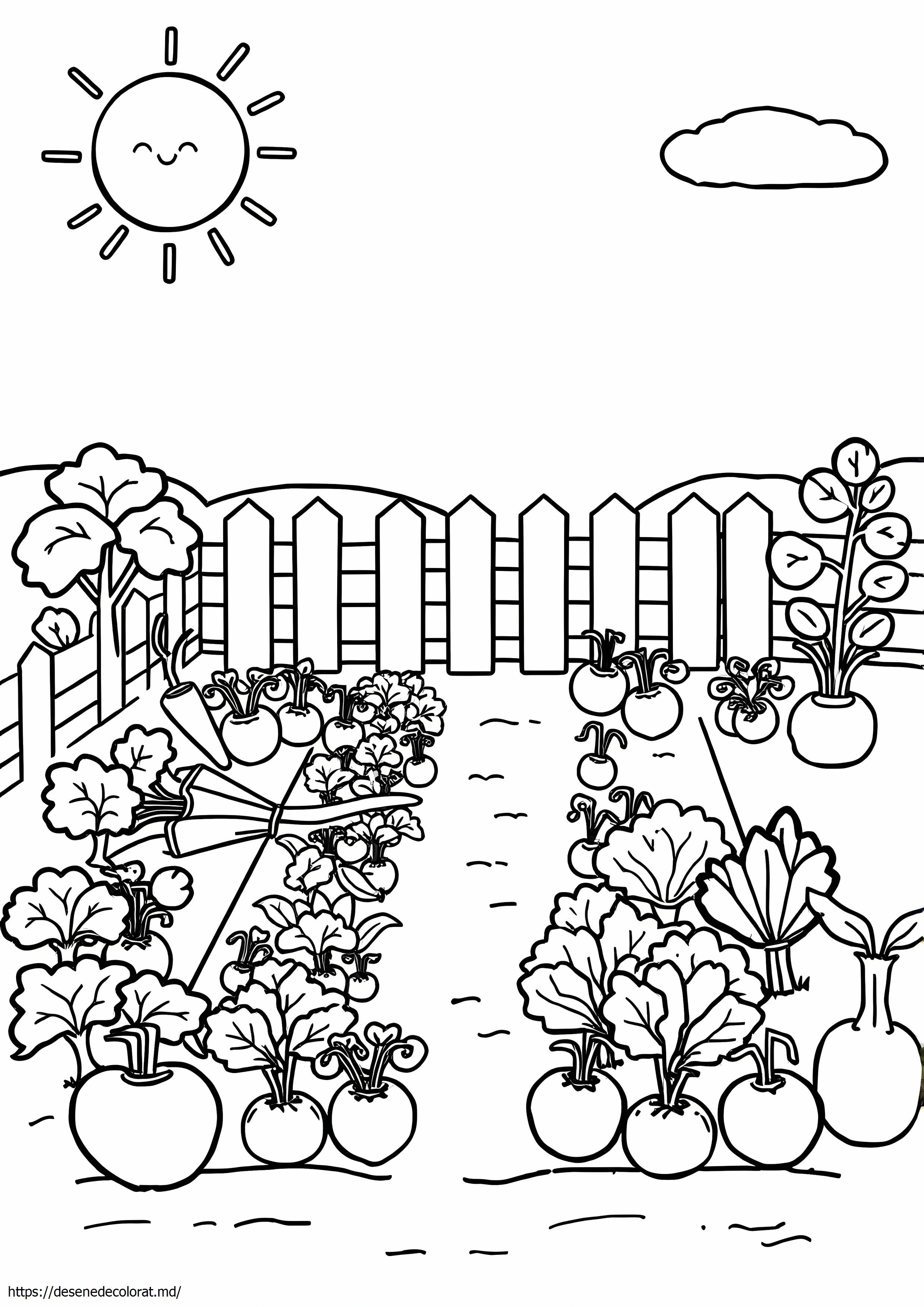 Gradina de legume
