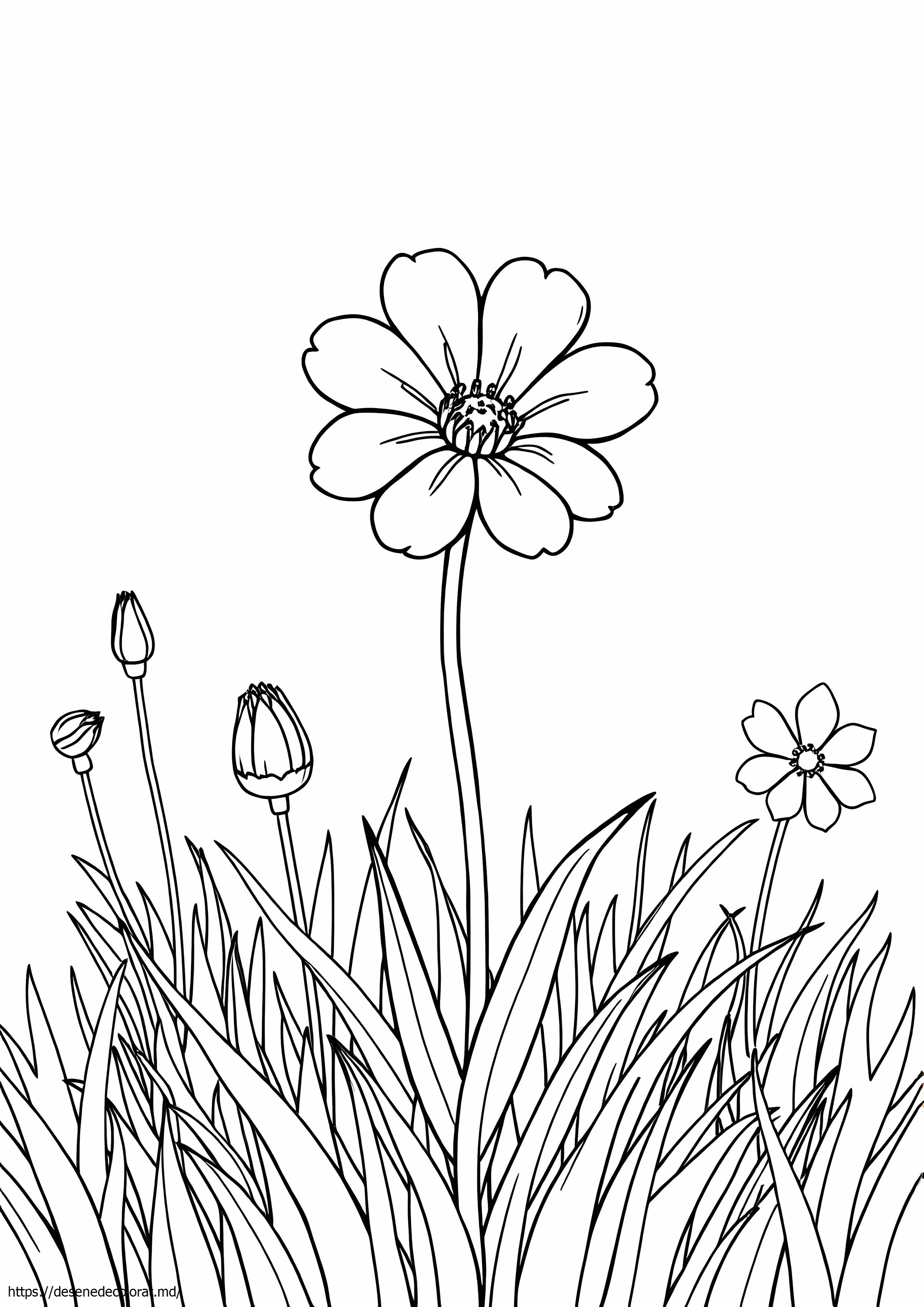 Floare sălbatică