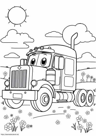 Peterbilt personalizat