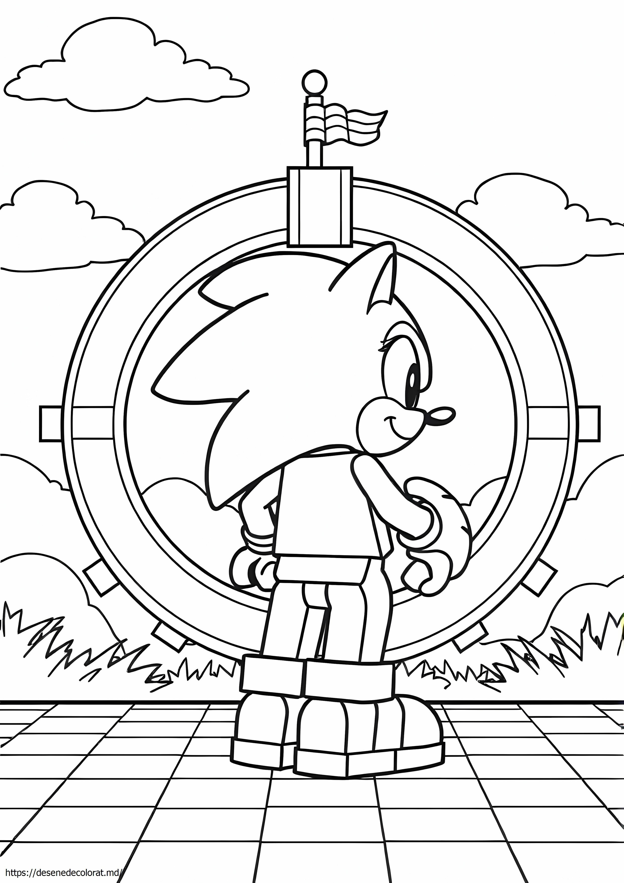 Lego sonic ariciul
