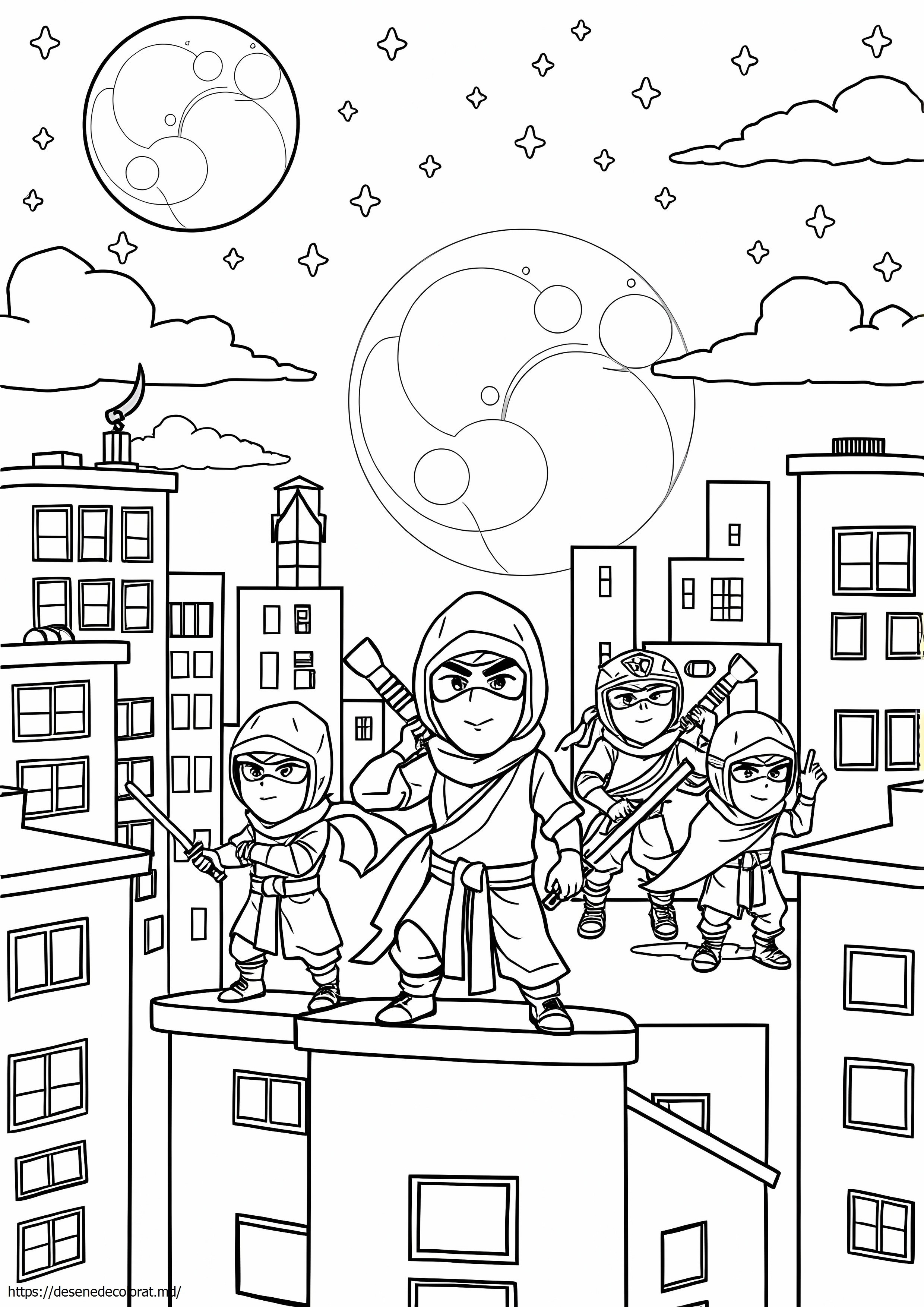 Tv ninja kidz