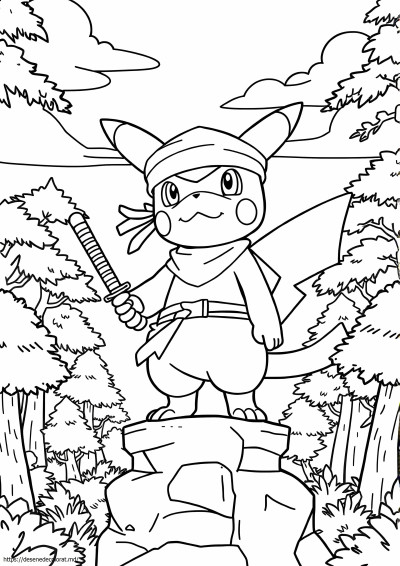 Pokemon ninja