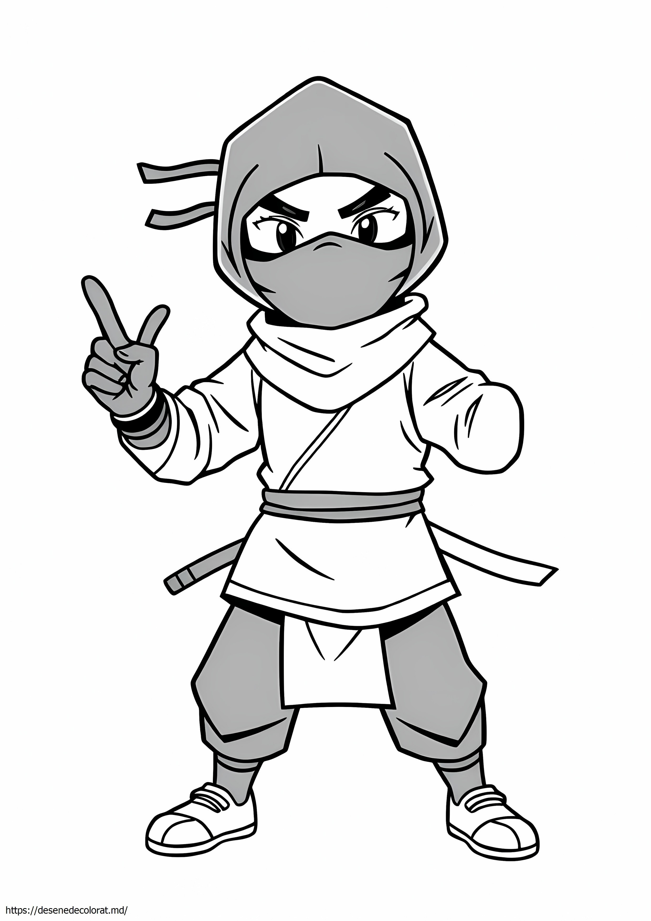 Ninja ușor
