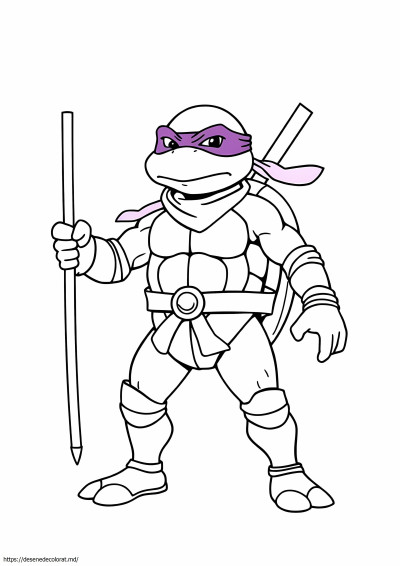 Țestoasa ninja donatello