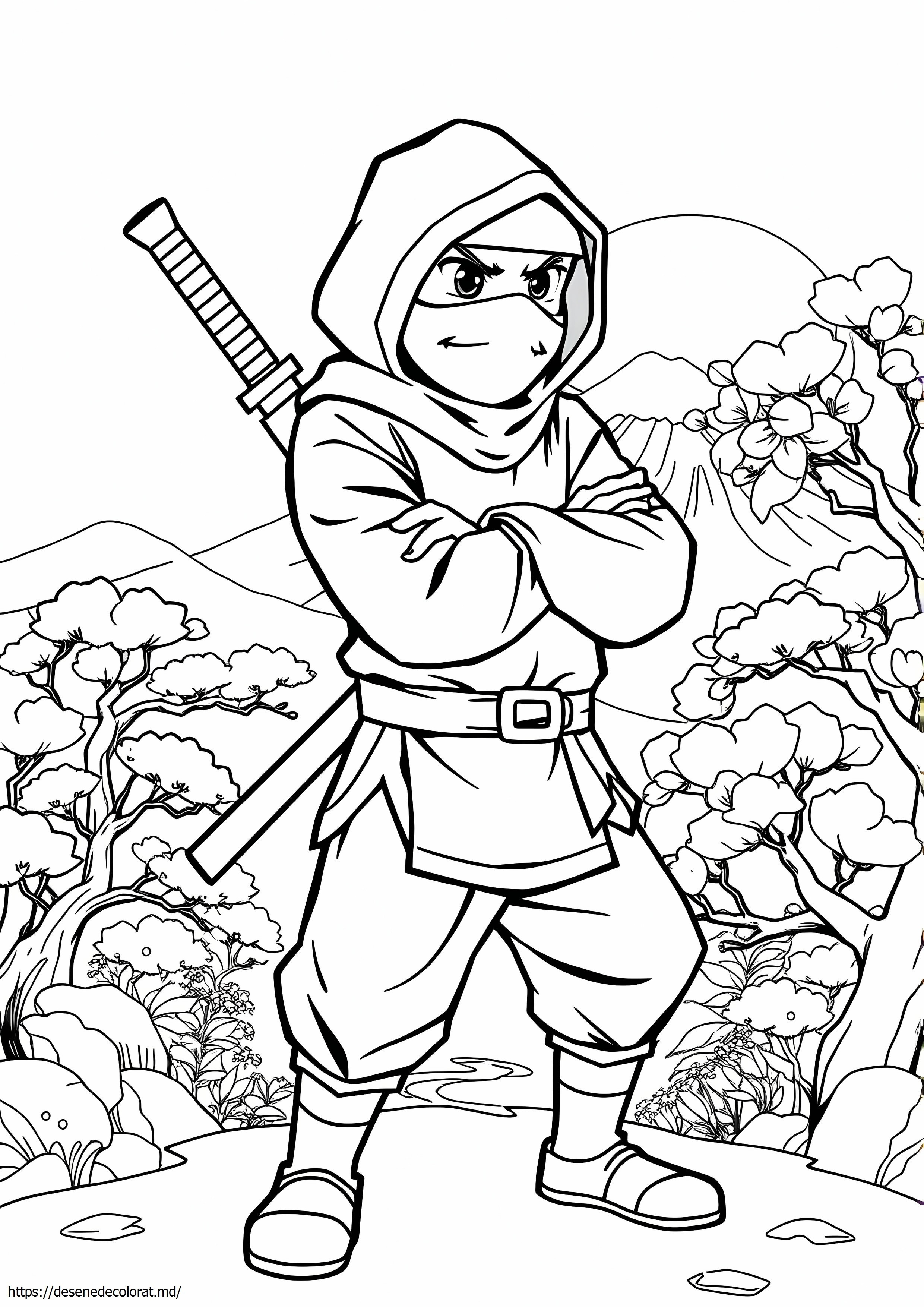 Japonez cool ninja războinic ninja