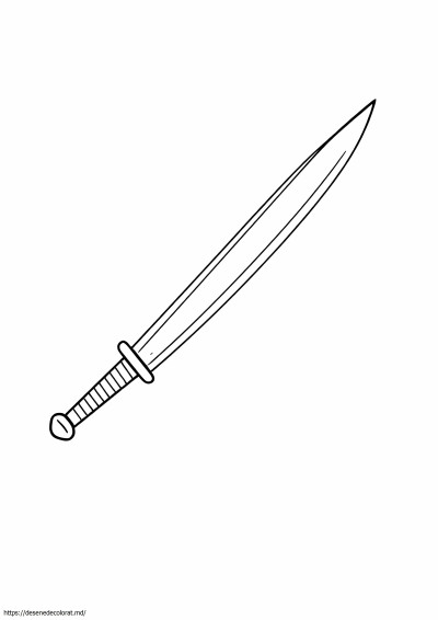 Sabie ninja