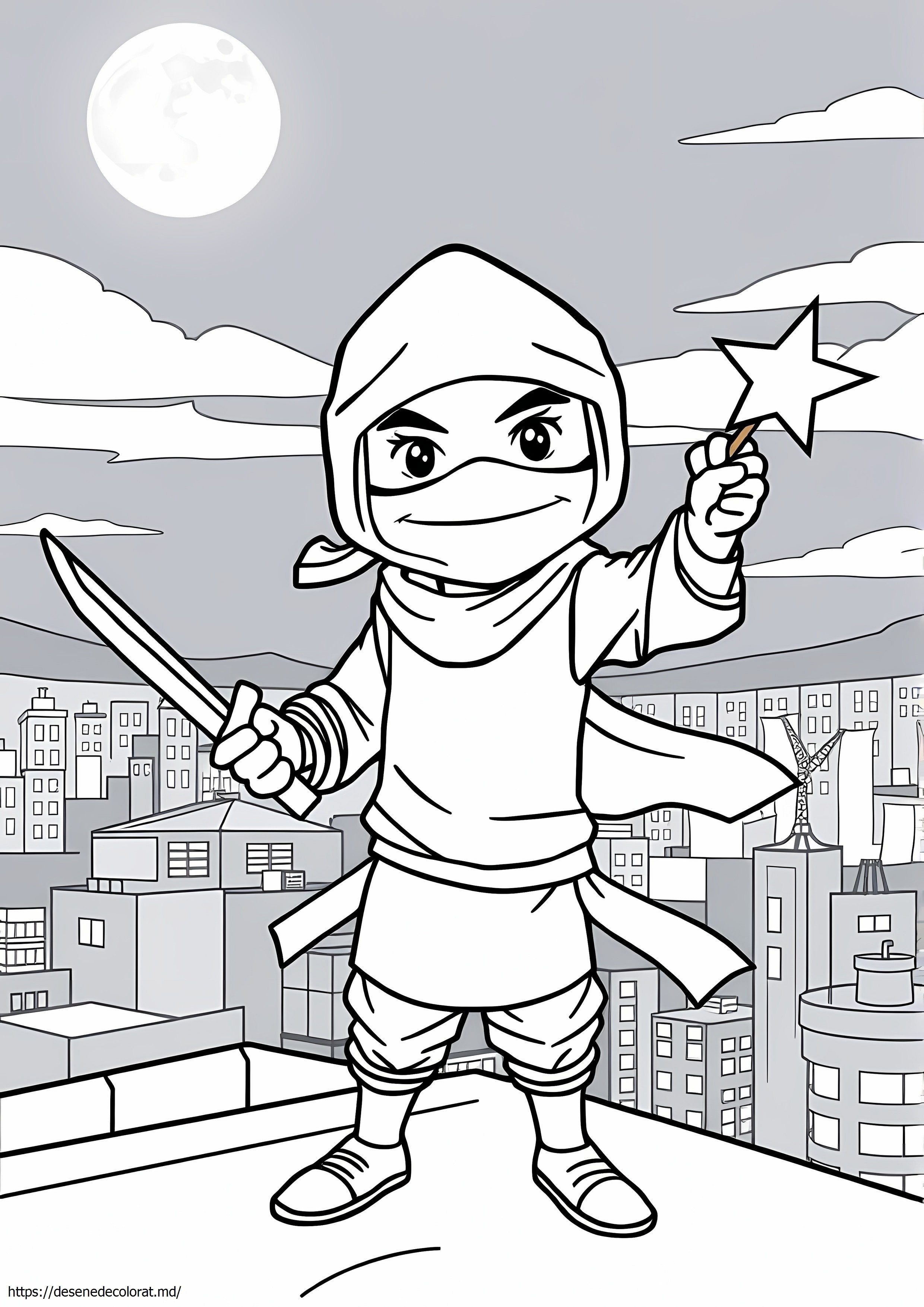 Ninja