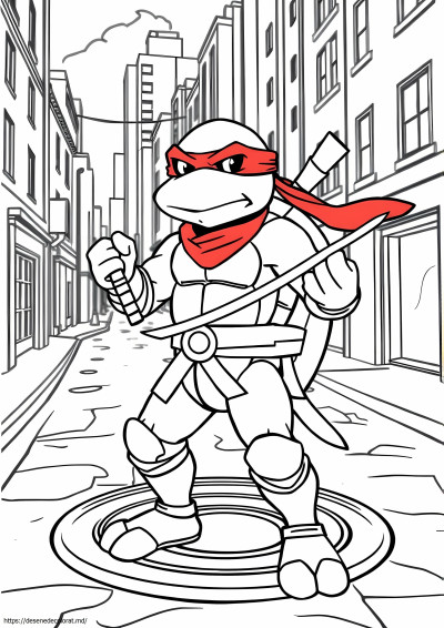 Țestoasa raphael