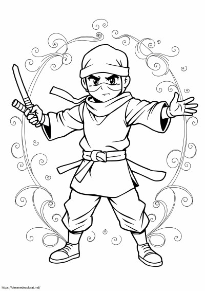 Războinic ninja