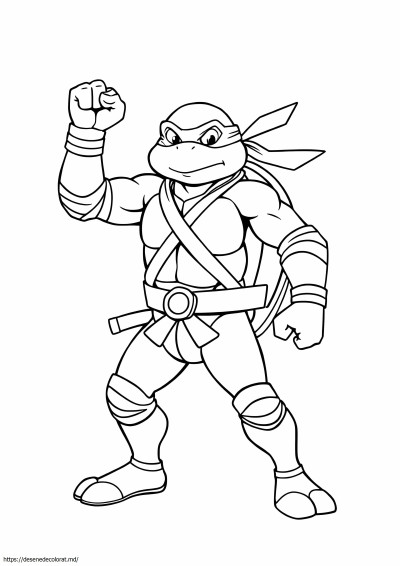 Broasca testoasa ninja michaelangelo