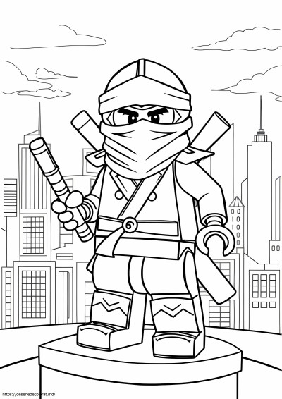 Ninjago jay