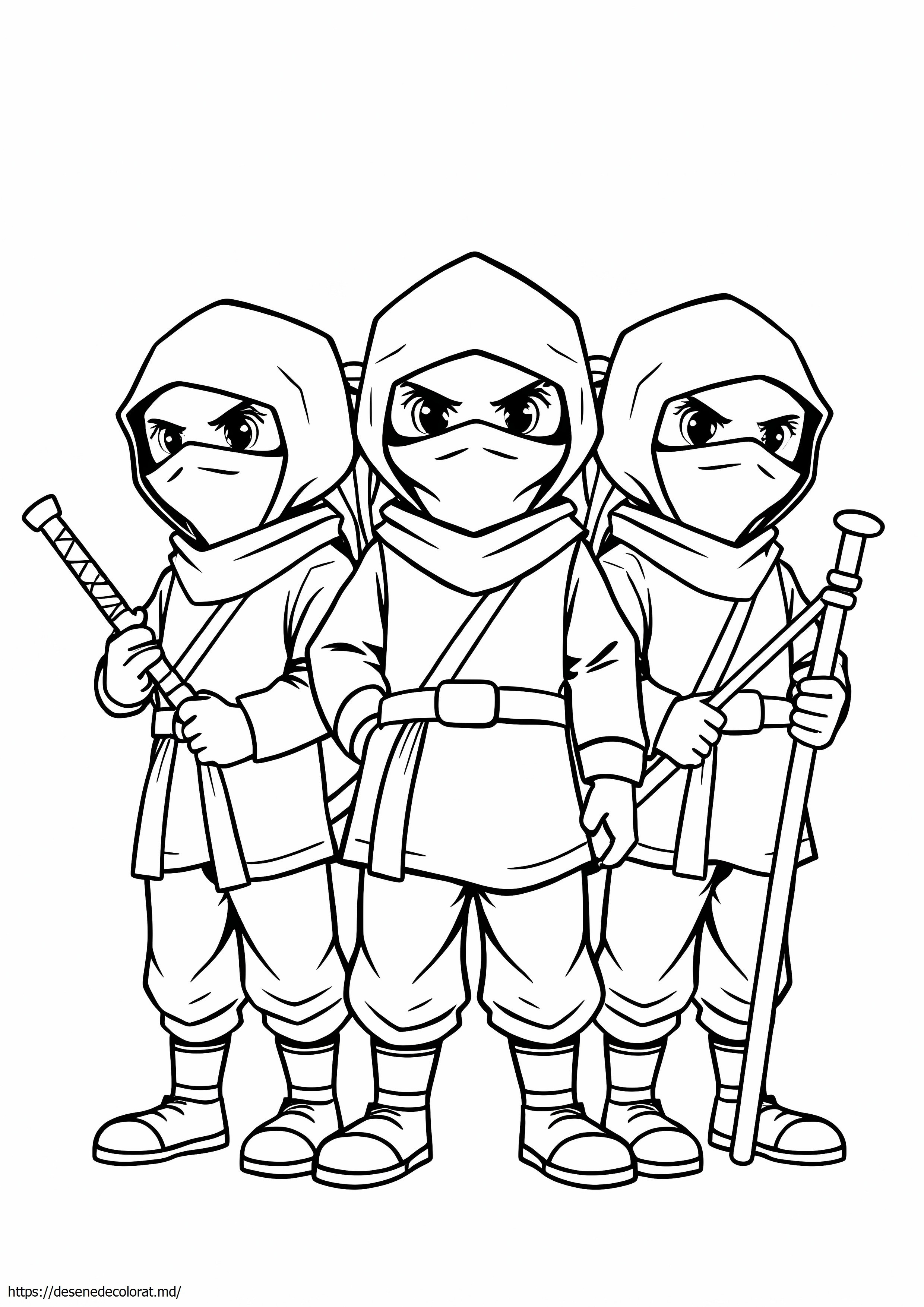 3 ninja