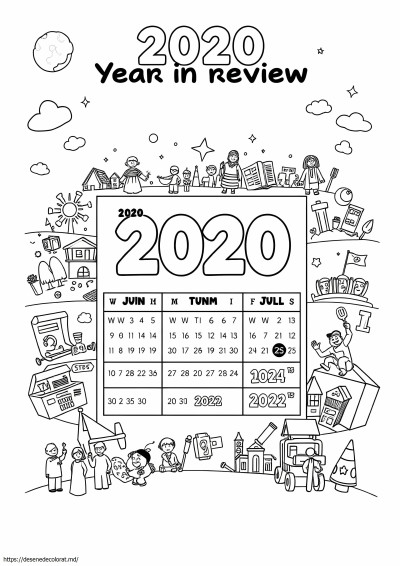 Anul 2020 în analiză