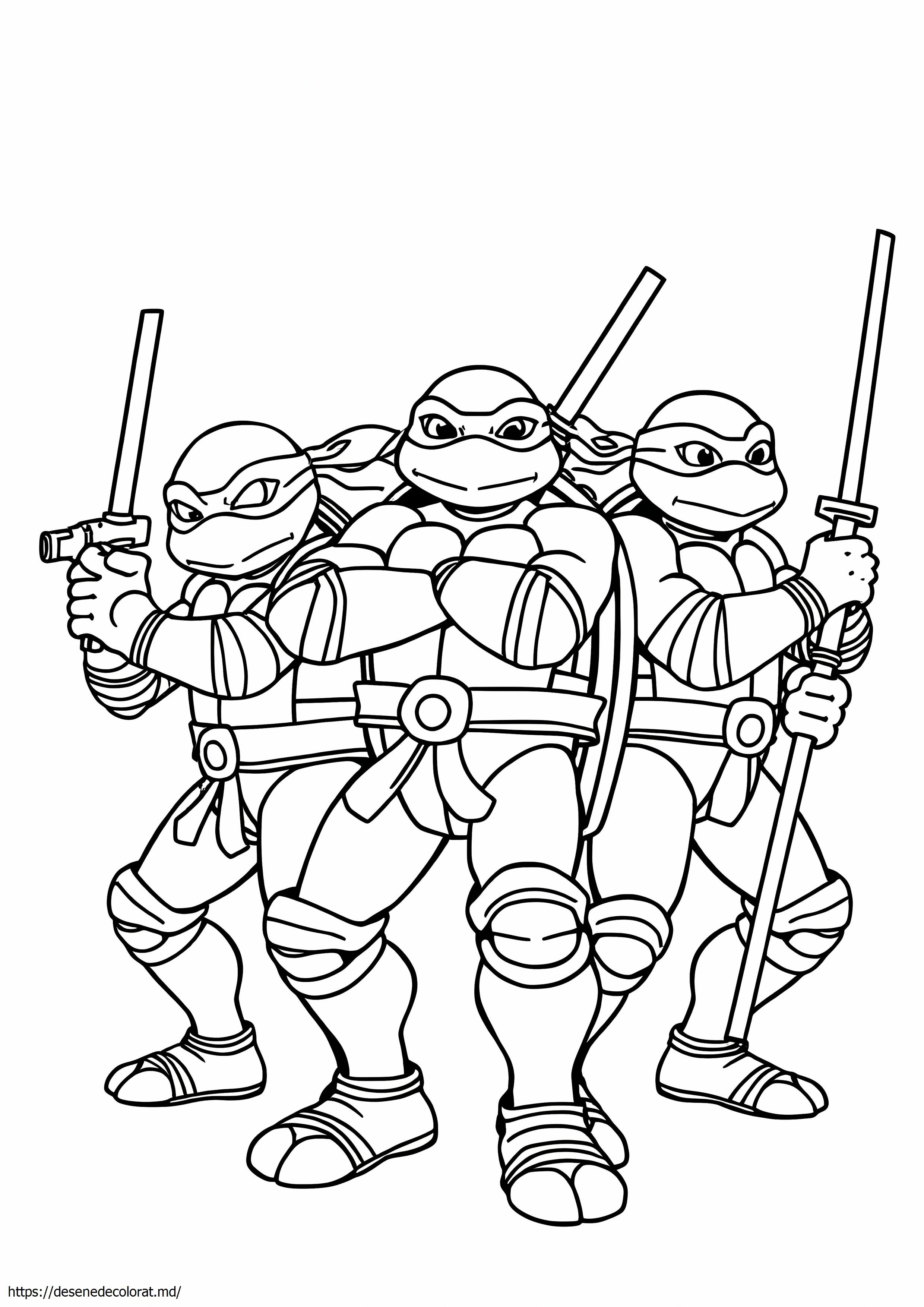 2016 broasca testoasa ninja