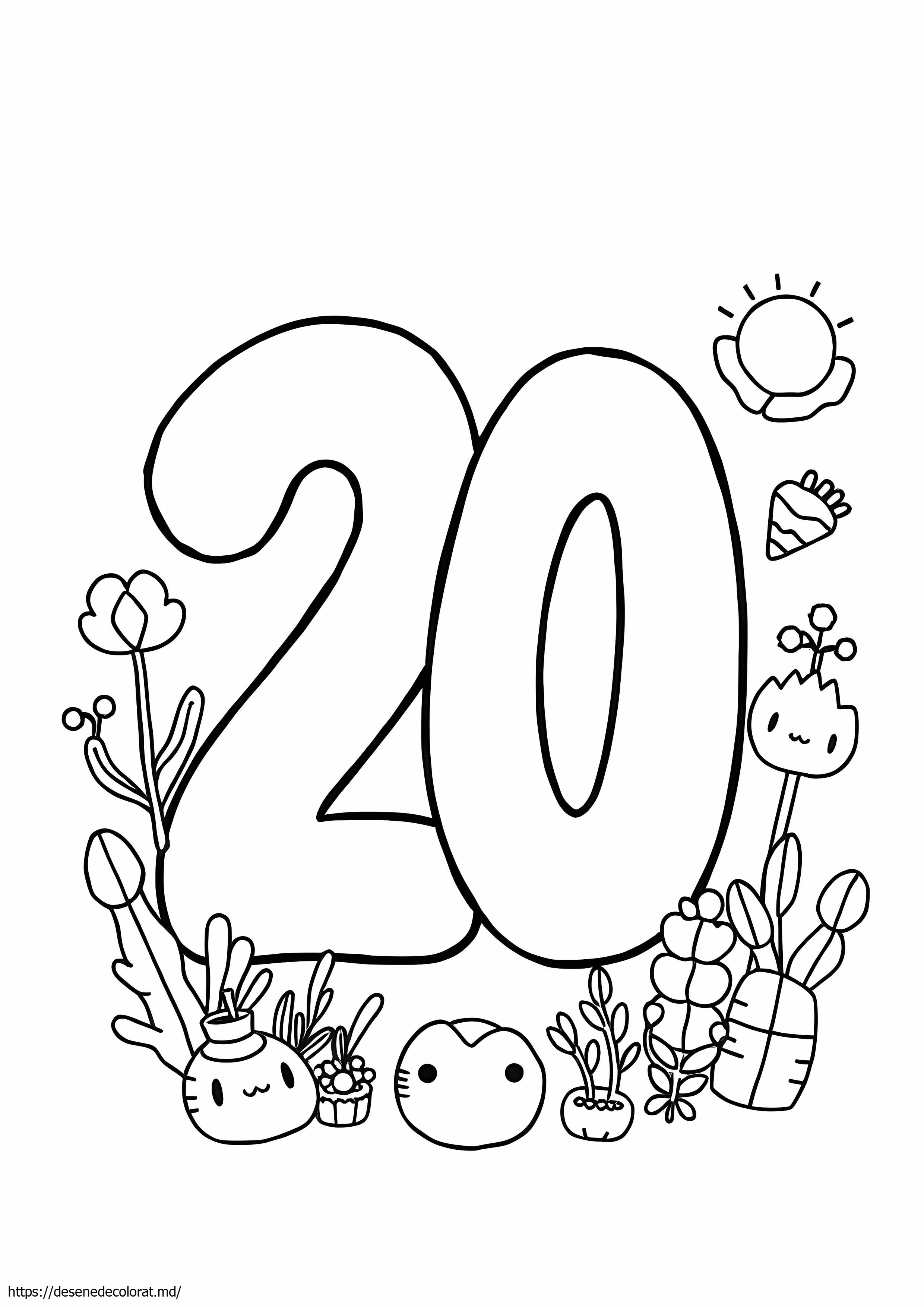 20
