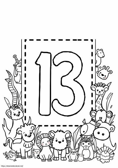 13