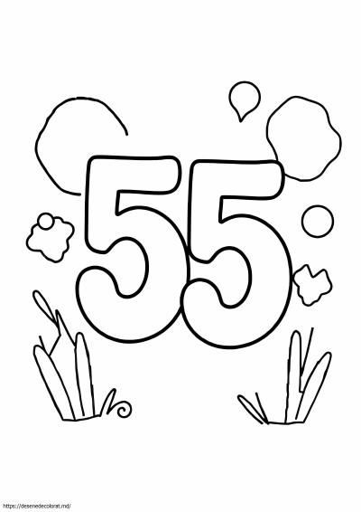 55
