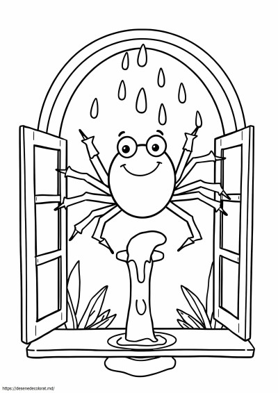 Incy wincy spider
