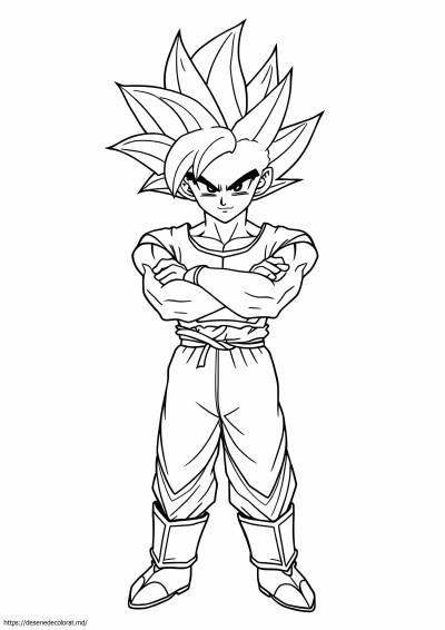 Goku ssj5