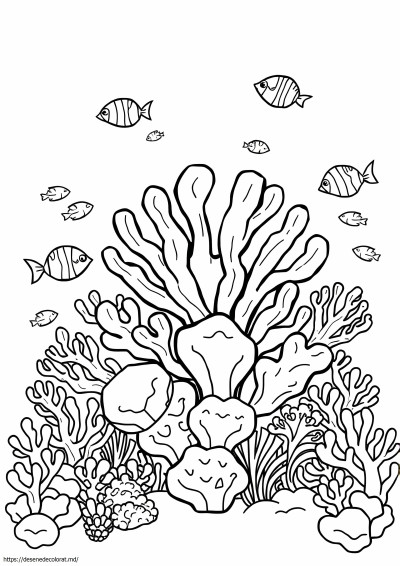 Coral