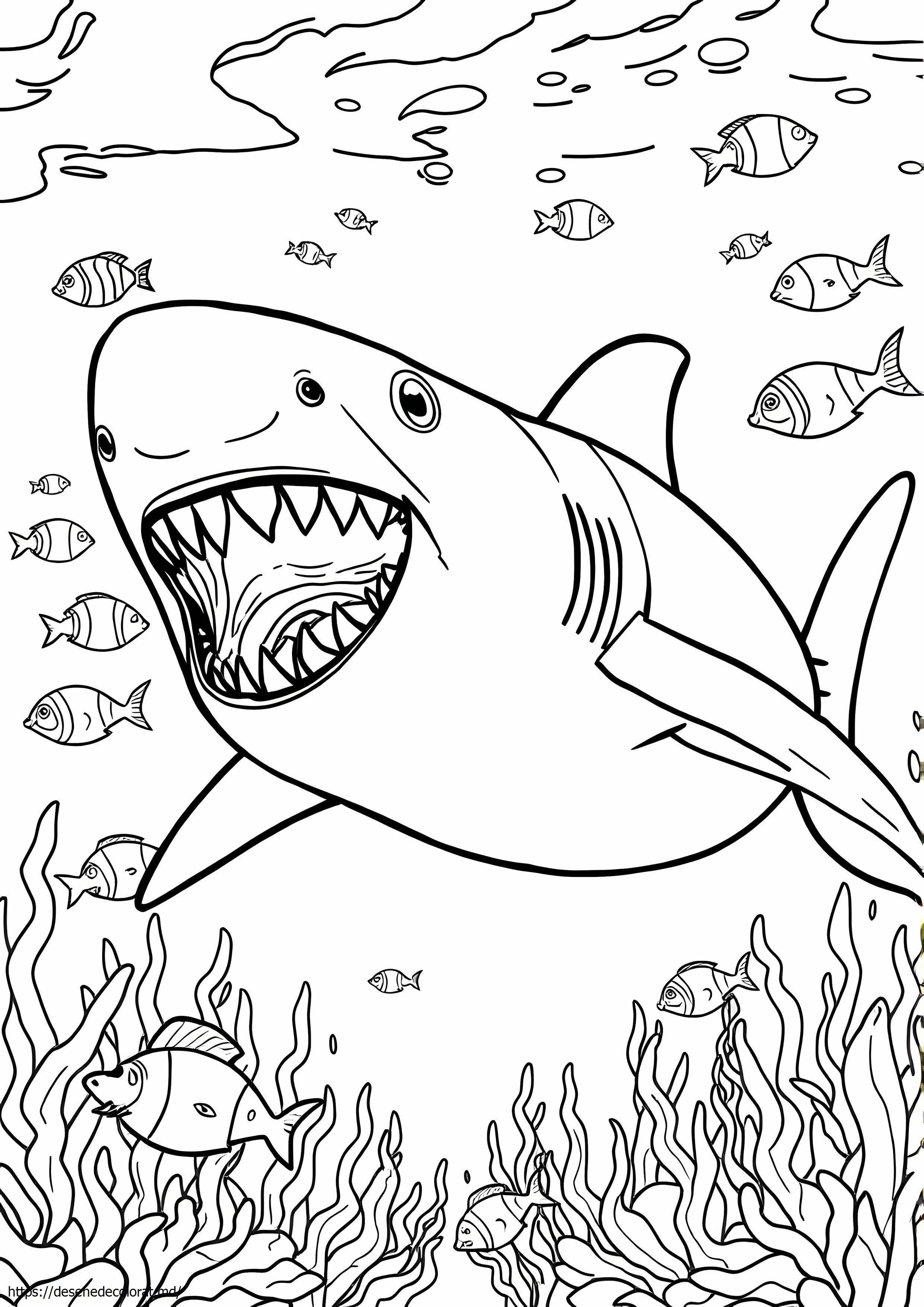 Megalodon realist