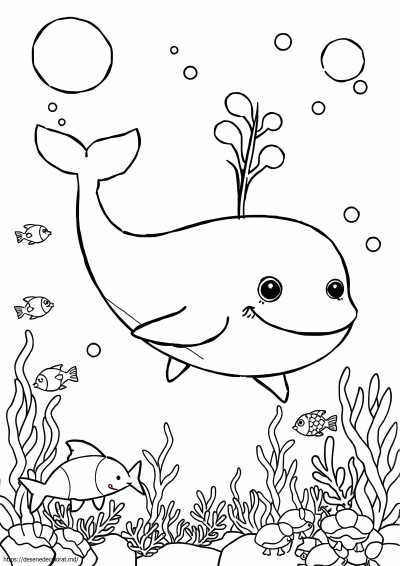Animal de mare