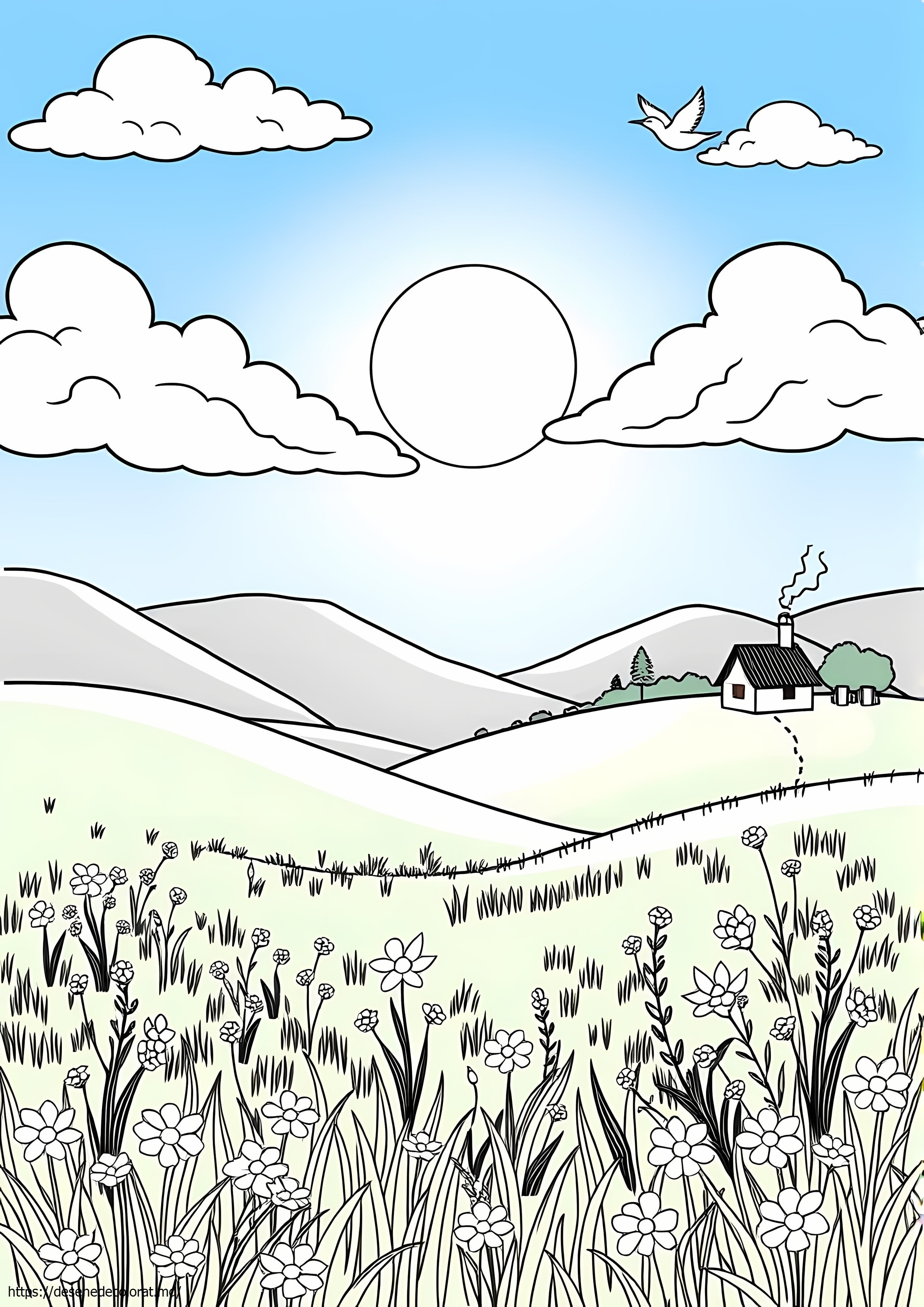 Scena naturii