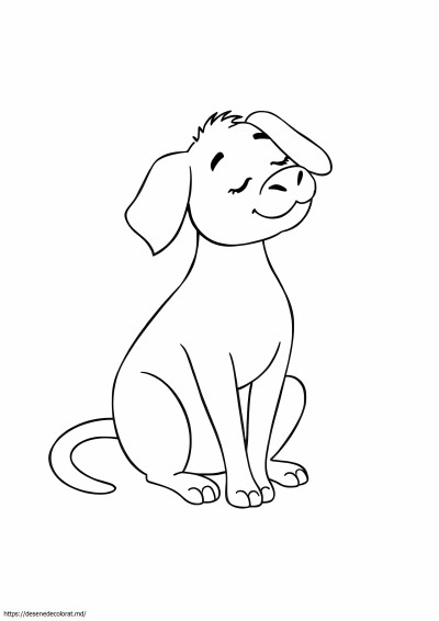 Conturul animalului
