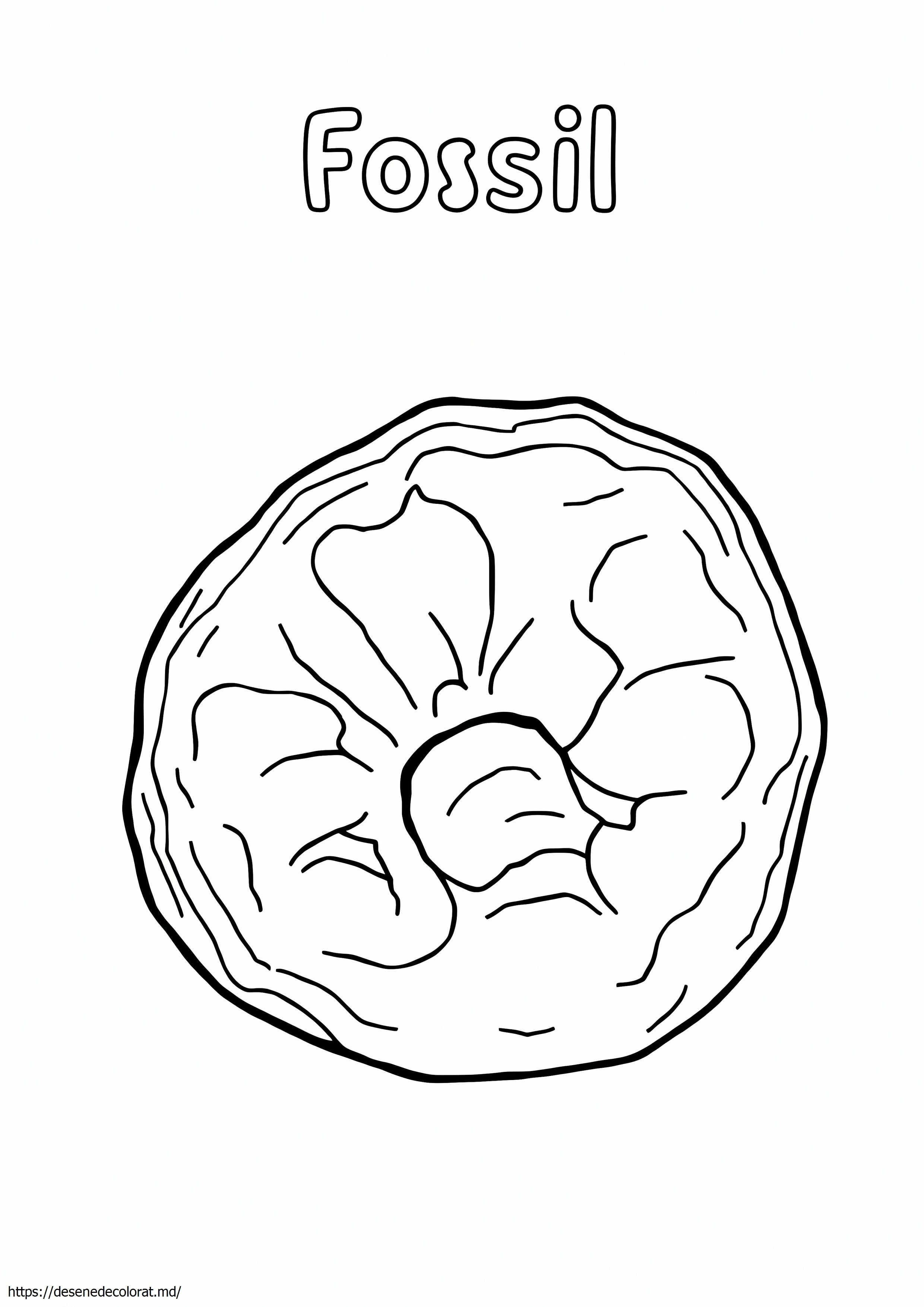 Fosil